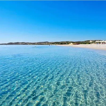 Cervi Per 67 Vicino Al Mare