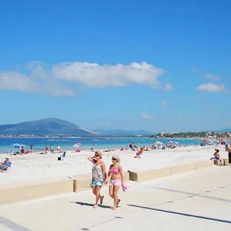 Cervi Per 67 Vicino Al Mare